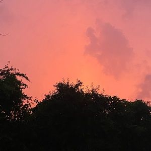 Meet your Posher, Maureen